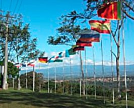 写真：大学敷地内に立てられている世界各国の旗