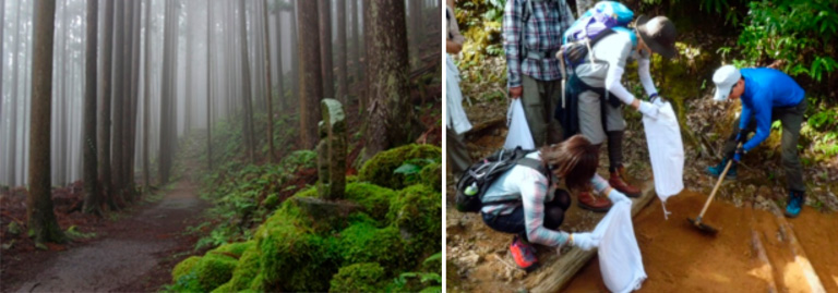 写真：熊野古道での「道普請ウォーク」の様子