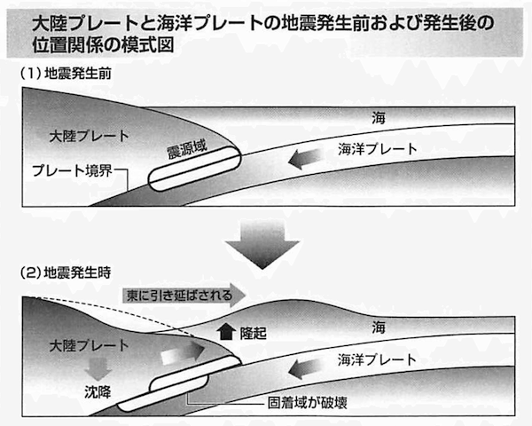 大陸プレートと海洋プレートの地震発生前および発生後の位置関係の模式図:(1)地震発生前の安定した状態(2)地震発生時の状態。海洋プレートの固着域が破壊されたことで、大陸プレートが沈降、東に大きく引き伸ばされたことで地盤が隆起し不安定な状態に。