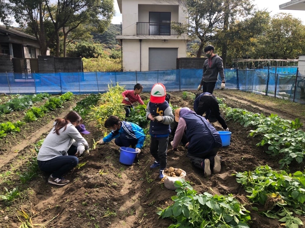 写真:畑で野菜の世話をする子どもとスタッフ
