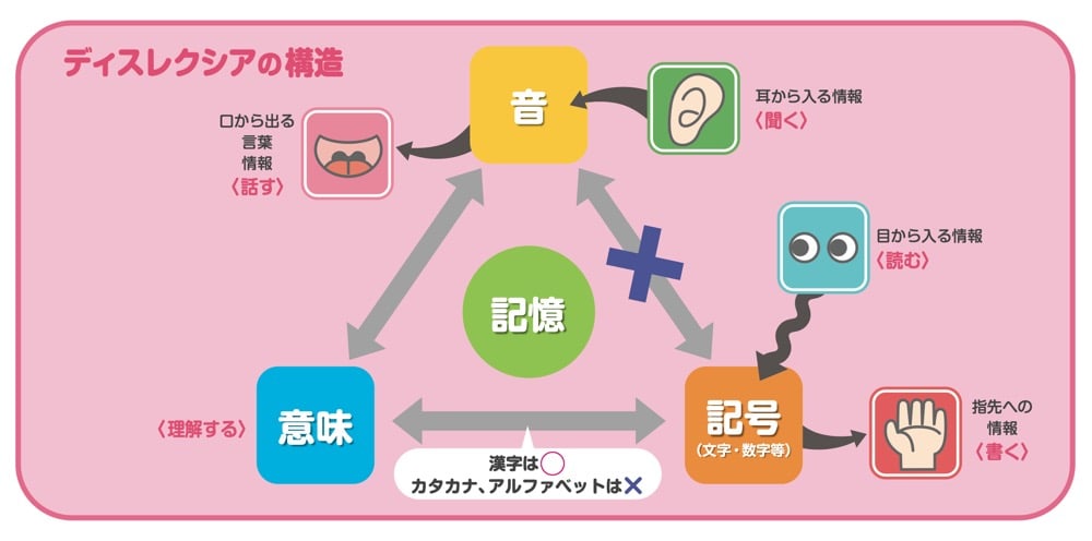 ディスレクシアの構造を図にしたもの

文字を理解するには「音」と「意味」と「記号（文字・数字）」の3つの要素をうまく「記憶」と結び付けることが必要。ディスレクシアの場合、音と記号（文字・数字）を関連付けるのが苦手とされている。