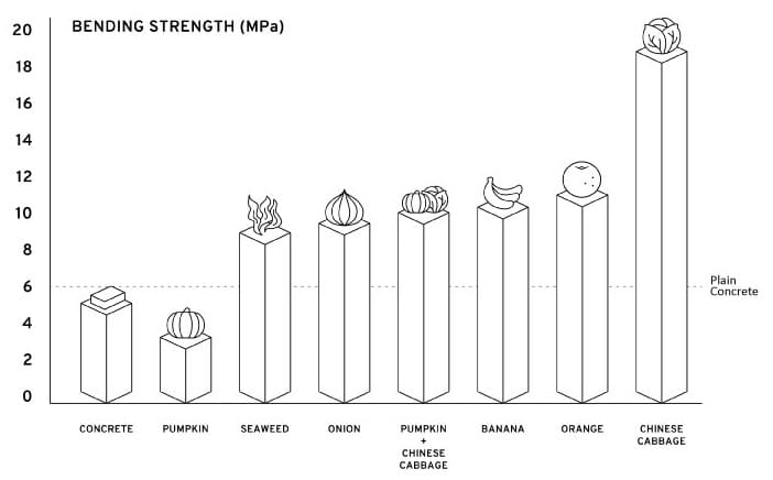素材ごとの曲げ強度を示したグラフ。かぼちゃは一般的なコンクリートの曲げ強度以下の結果に。海藻、たまねぎ、かぼちゃと白菜を組み合わせたもの、バナナ、みかんは一般的なコンクリートの曲げ強度よりも強く、また白菜のみの場合、飛び抜けて曲げ強度が強い。