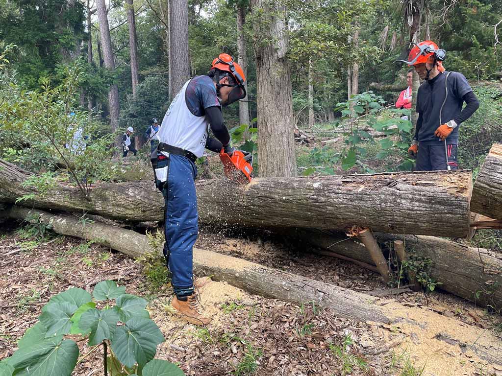 被災林でのチェーンソー講習会の様子