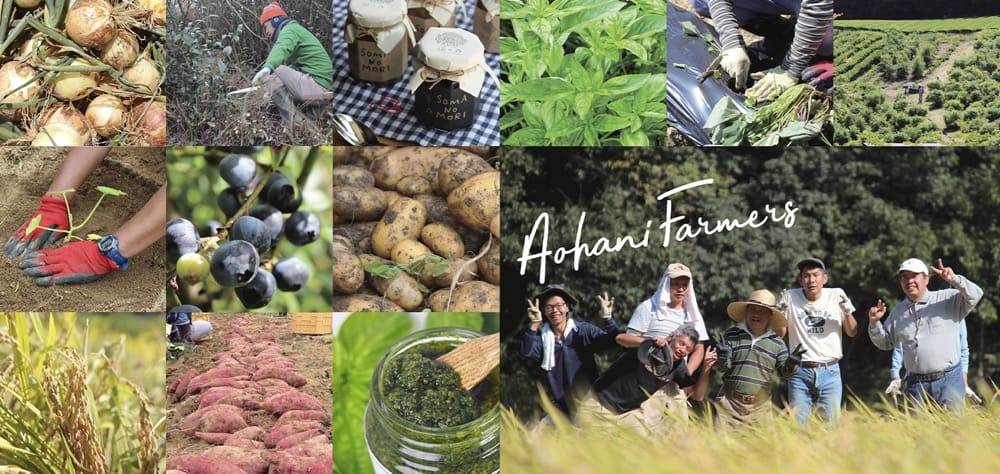 青葉仁会で生産しているものと、作業中の利用者