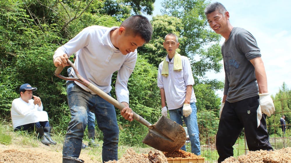 スコップを使用して作業している