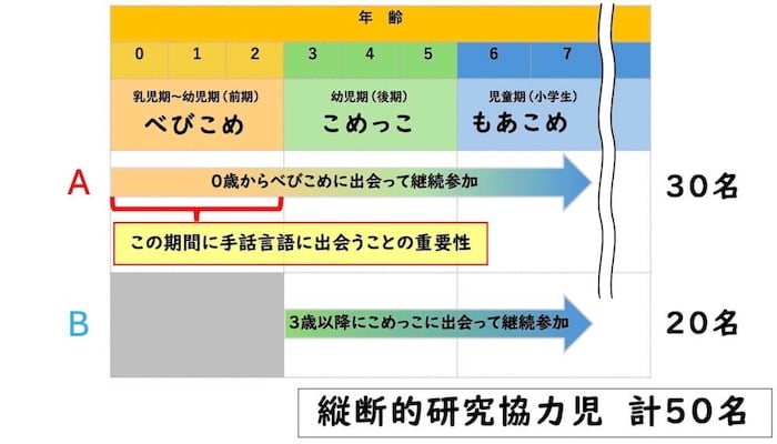 年齢0・1・2歳/べびこめ 乳児期~幼児期 (前期)
年齢3・4・5歳/こめっこ 幼児期 (後期)
年齢6・7歳/もあこめ 児童期 (小学生)
A.0歳からべびこめに出会って継続参加/30名。
0・1・2歳の期間に手話言語に出会うことの重要性
B.3歳以降にこめっこに出会って継続参加/20名
縦断的研究協力児 計50名