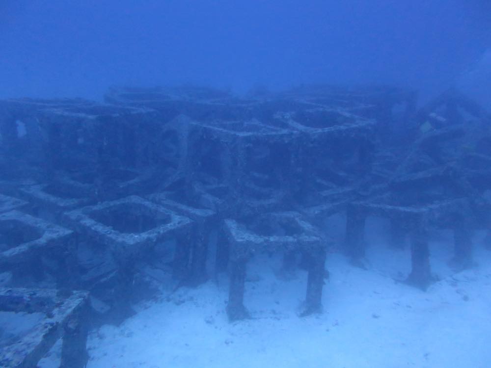 海底に積まれたブロック状の人工魚礁