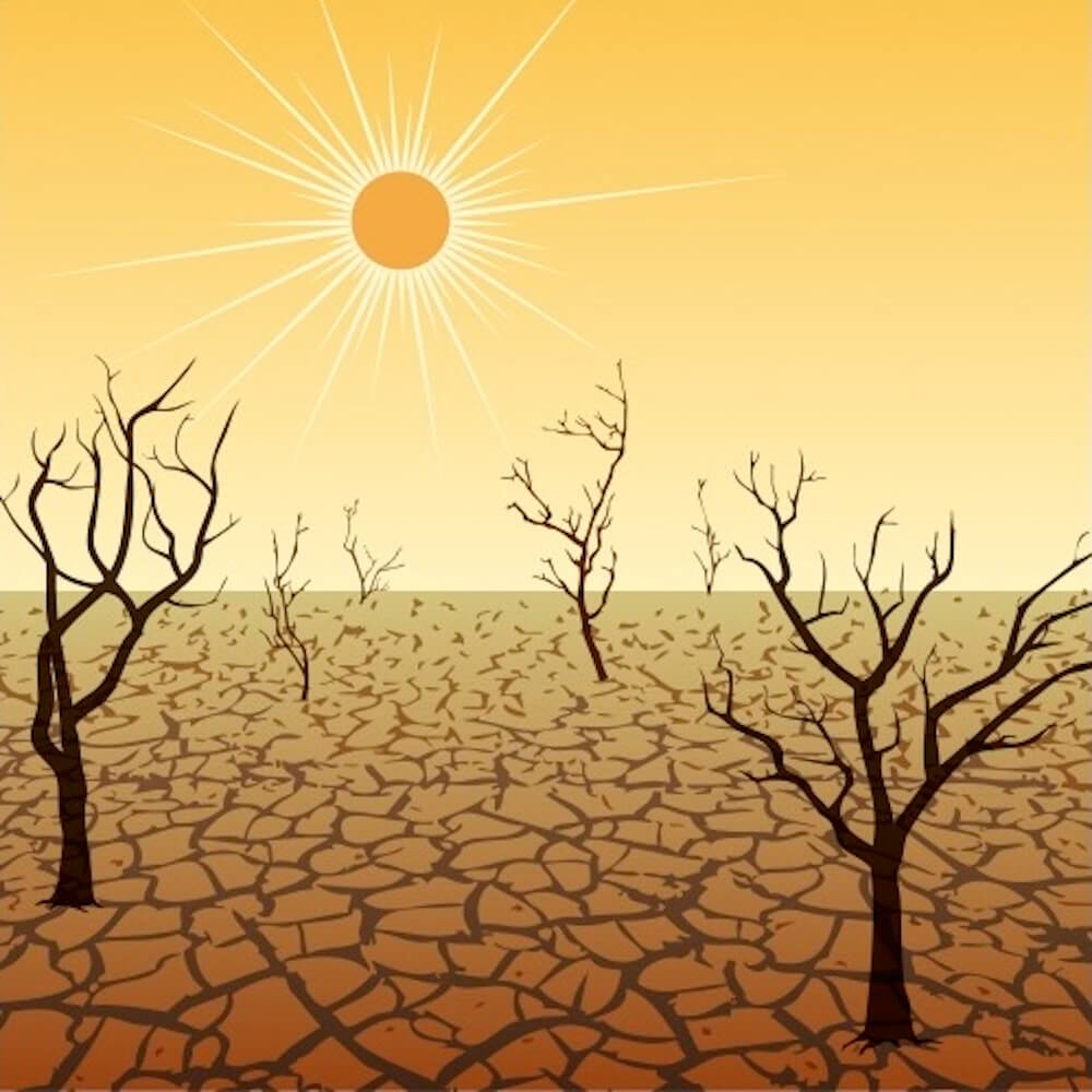 イラスト：
干ばつで枯れた木、ひび割れた大地