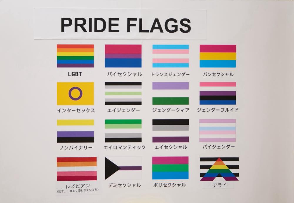 
「PRIDE FLAGS」と大きく書かれたタイトルの下に、20種類のプライドフラッグが並んでいる。それぞれの旗の下に、該当するセクシュアリティ・ジェンダーの名称が記載されている。

LGBT：赤、オレンジ、黄色、緑、青、紫の6色の虹色のストライプ。
インターセックス：黄色地に中央に紫の円。
ノンバイナリー：黄色、白、紫、黒の4色の横縞。
レズビアン（近年、一番よく使われている旗）：赤系〜ピンク系の7色の横縞。

バイセクシュアル：上からピンク、紫、青の3色の横縞。
エイジェンダー：黒、灰色、白、緑、白、灰色、黒の7本の横縞。
エイロマンティック：緑系〜白〜黒系の5本の横縞。
デミセクシュアル：左端に黒い三角形、白地に中央に紫の太い横線と細い灰色の線。

トランスジェンダー：水色、ピンク、白、ピンク、水色の5本の横縞。
ジェンダークィア：紫、白、緑の3本の横縞。
エイセクシュアル：黒、灰色、白、紫の4本の横縞。
ポリセクシュアル：ピンク、紫、水色の3本の横縞。

パンセクシュアル：ピンク、黄色、水色の3本の横縞。
ジェンダーフルイド：ピンク、白、紫、黒、青の5本の横縞。
バイジェンダー：ピンク、ラベンダー、白、ラベンダー、青の5本の横縞。
アライ：黒と白の横縞の上に、虹色の「A」型の矢印が重なっている。