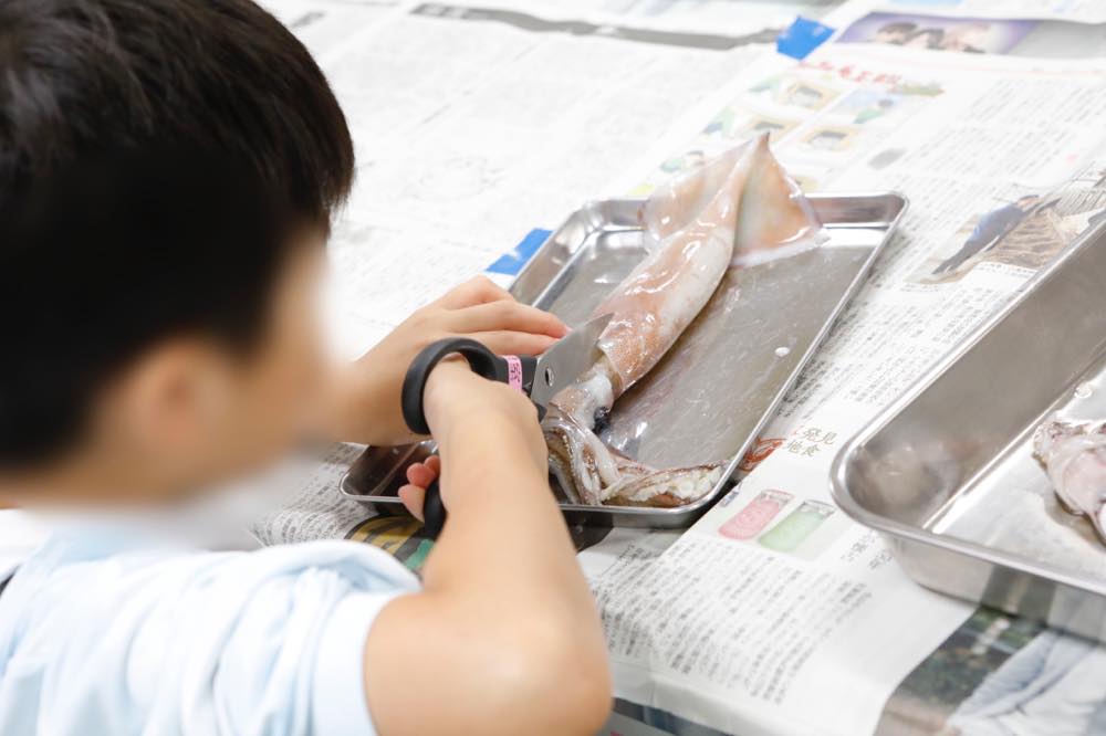 子どもがイカの解剖を始めている