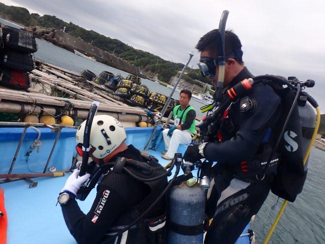 水中清掃に向かうボランティアダイバーたち