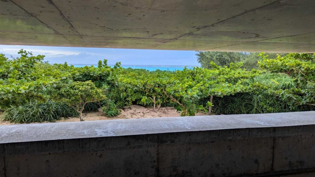 写真：施設から見える景色