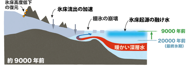 氷床が融解し、海へ流出するプロセスを解説した断面模式図。「暖かい深層水」が棚氷の下に入り込み、底面を溶かすことで棚氷の崩壊や氷床流出が加速する様子を描いている